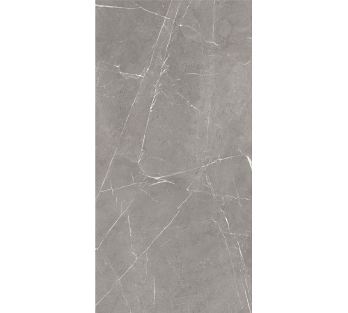 GT120603001MCR Керамогранит Encanto серый карвинг матовый 60x120