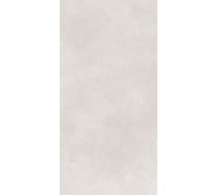 GT1206017706MR Керамогранит Cassini светло-серый матовый 60x120
