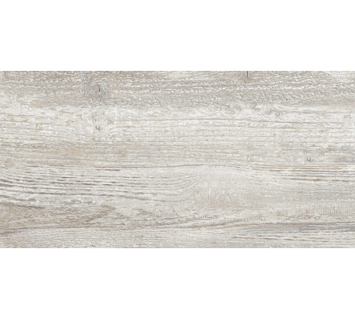 GT225VG Керамогранит Antares серый матовый 30x60