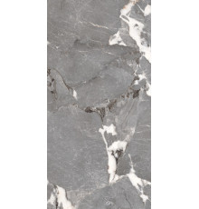 PGT1206010201SGR Керамогранит Pegasus серый матовый 60x120