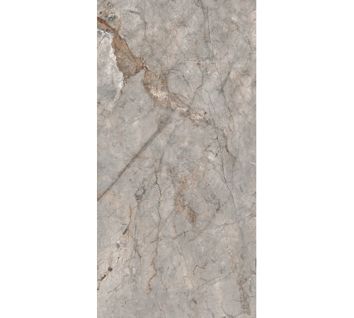 GT120604201MGR Керамогранит Bizarre серый граниль матовый 60x120