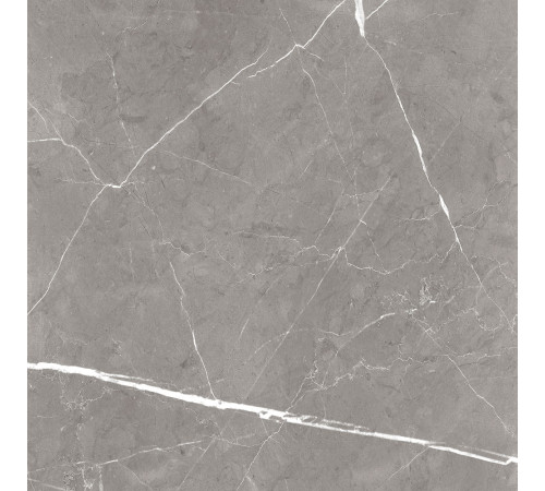 GT60603001MCR Керамогранит Encanto серый матовый 60x60