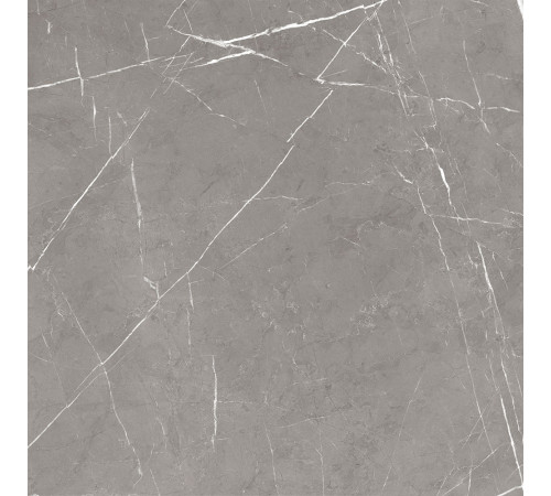 GT60603001MCR Керамогранит Encanto серый матовый 60x60