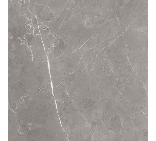 GT60603001MCR Керамогранит Encanto серый матовый 60x60