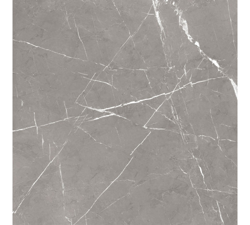 GT60603001MCR Керамогранит Encanto серый матовый 60x60