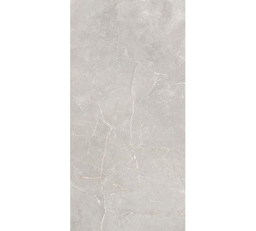 GT1206012601SSR Керамогранит Sogdiana серый сатинированный 60x120