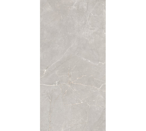 GT1206012601SSR Керамогранит Sogdiana серый сатинированный 60x120